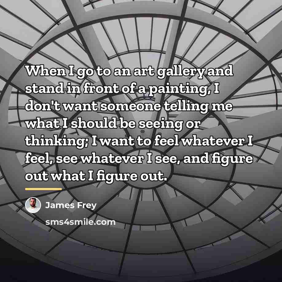 “When I go to an art gallery and stand in…” quote by James Frey