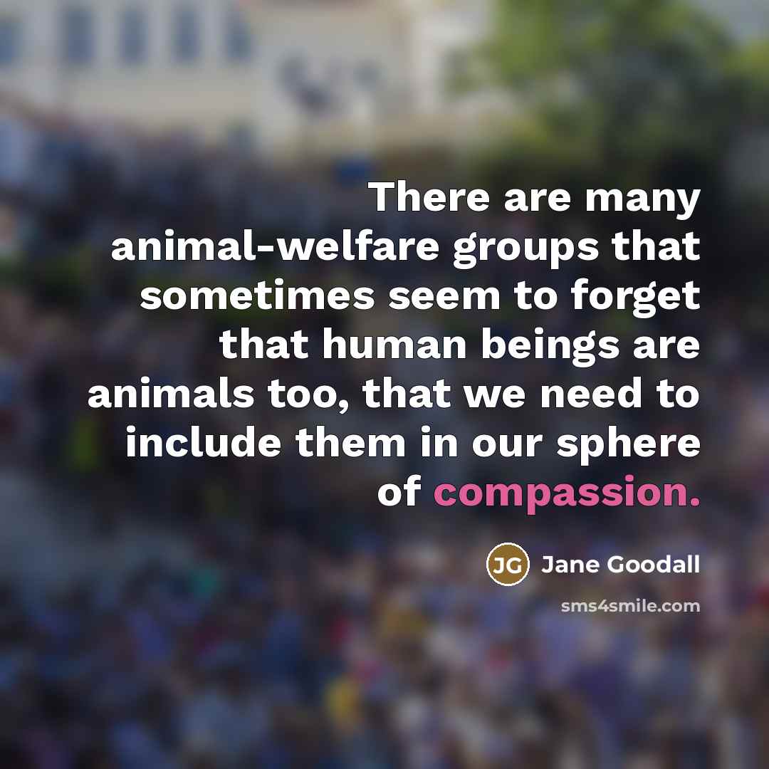 “There are many animal-welfare groups that sometimes seem to forget…” quote by Jane Goodall