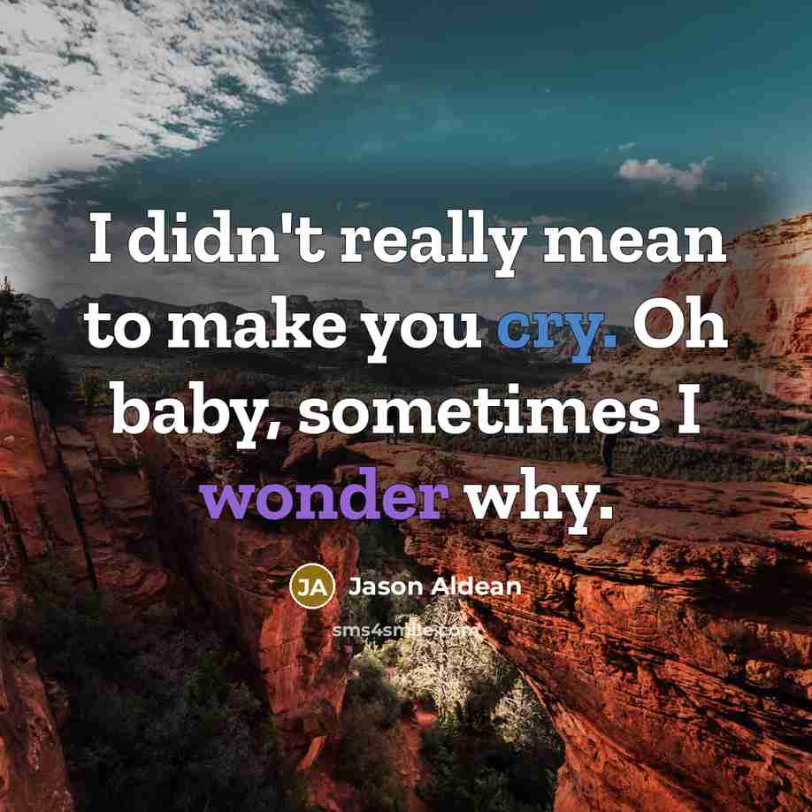 “I didn't really mean to make you cry. Oh baby, sometimes I wonder why.” quote by Jason Aldean
