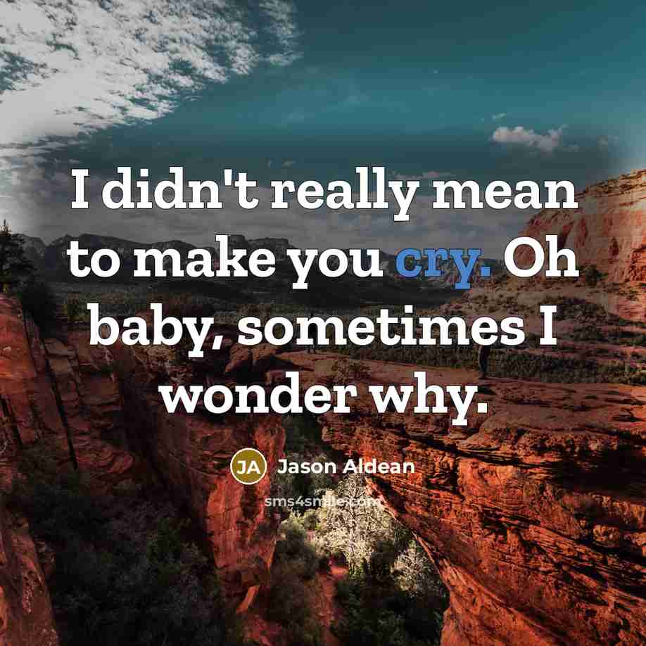 “I didn't really mean to make you cry. Oh baby,…” quote by Jason Aldean