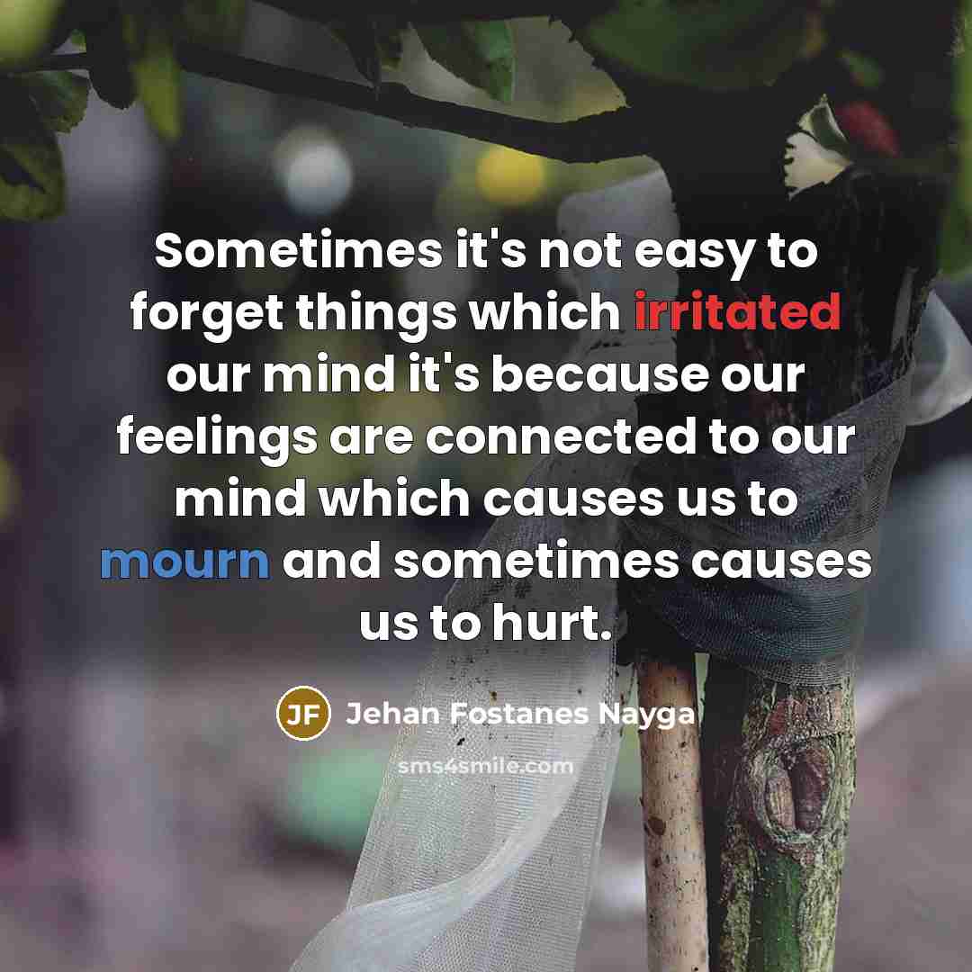 “Sometimes it's not easy to forget things which irritated our…” quote by Jehan Fostanes Nayga