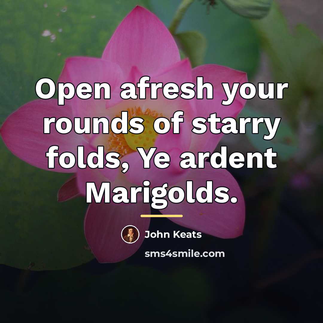 “Open afresh your rounds of starry folds, Ye ardent Marigolds.…” quote by John Keats