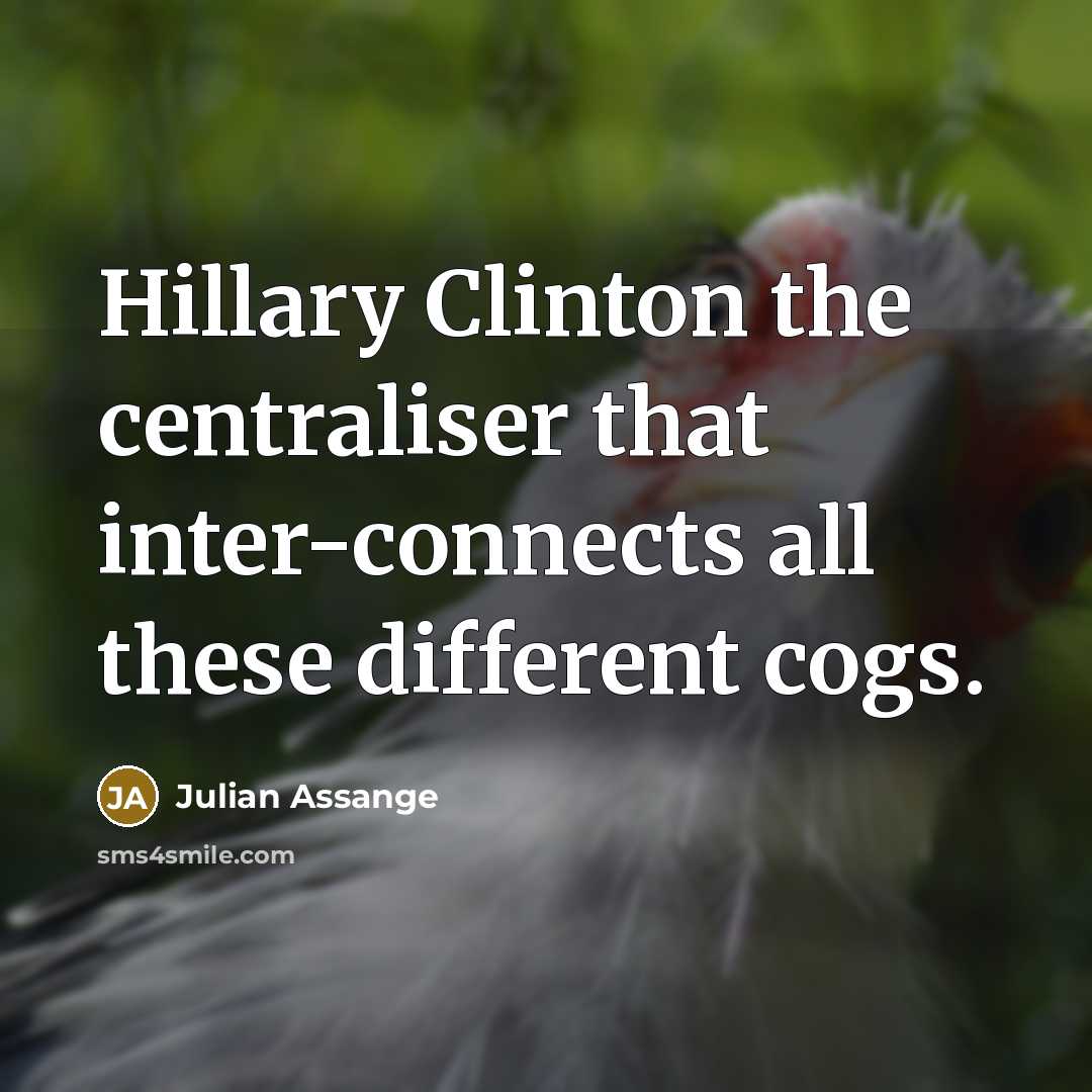 “Hillary Clinton the centraliser that inter-connects all these different cogs.…” quote by Julian Assange