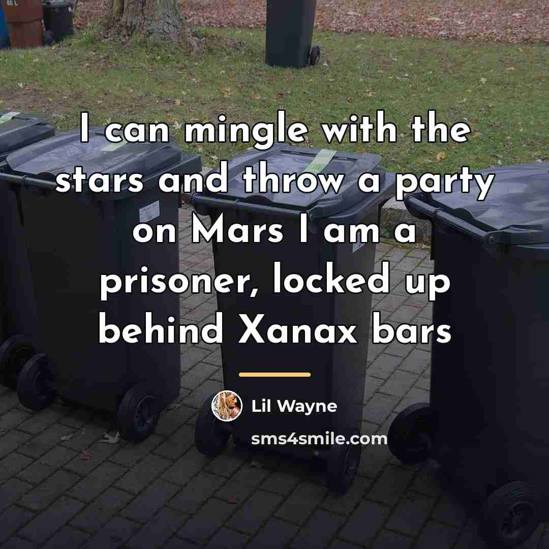 “I can mingle with the stars and throw a party…” quote by Lil Wayne