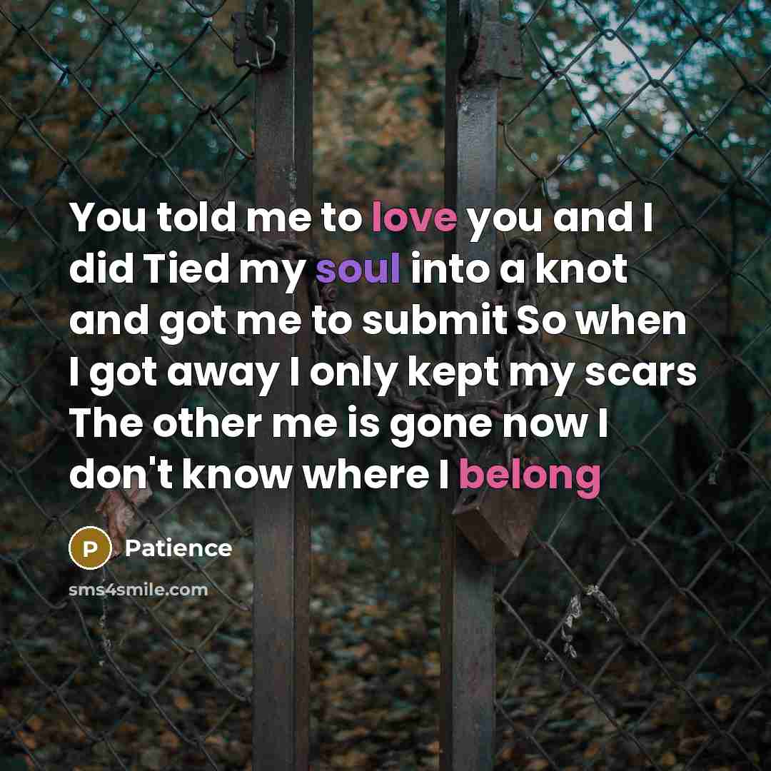 “You told me to love you and I did Tied my soul into a knot and got me to submit So when I got away I only kept my scars The other me is gone now I don't know where I belong” quote by Patience