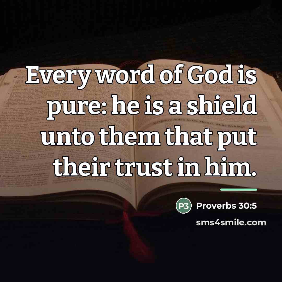 “Every word of God is pure: he is a shield…” quote by Proverbs 30:5