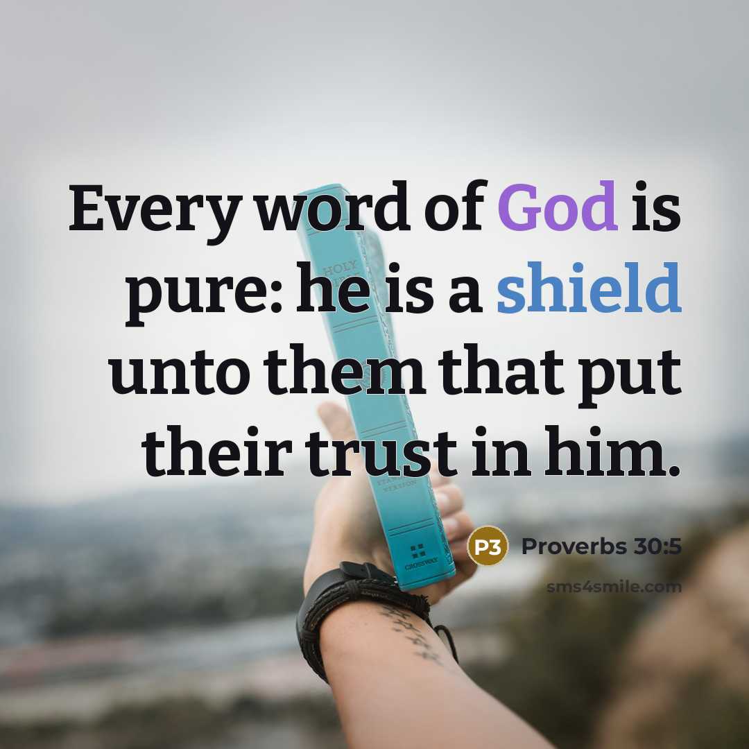 “Every word of God is pure: he is a shield unto them that put their trust in him.” quote by Proverbs 30:5