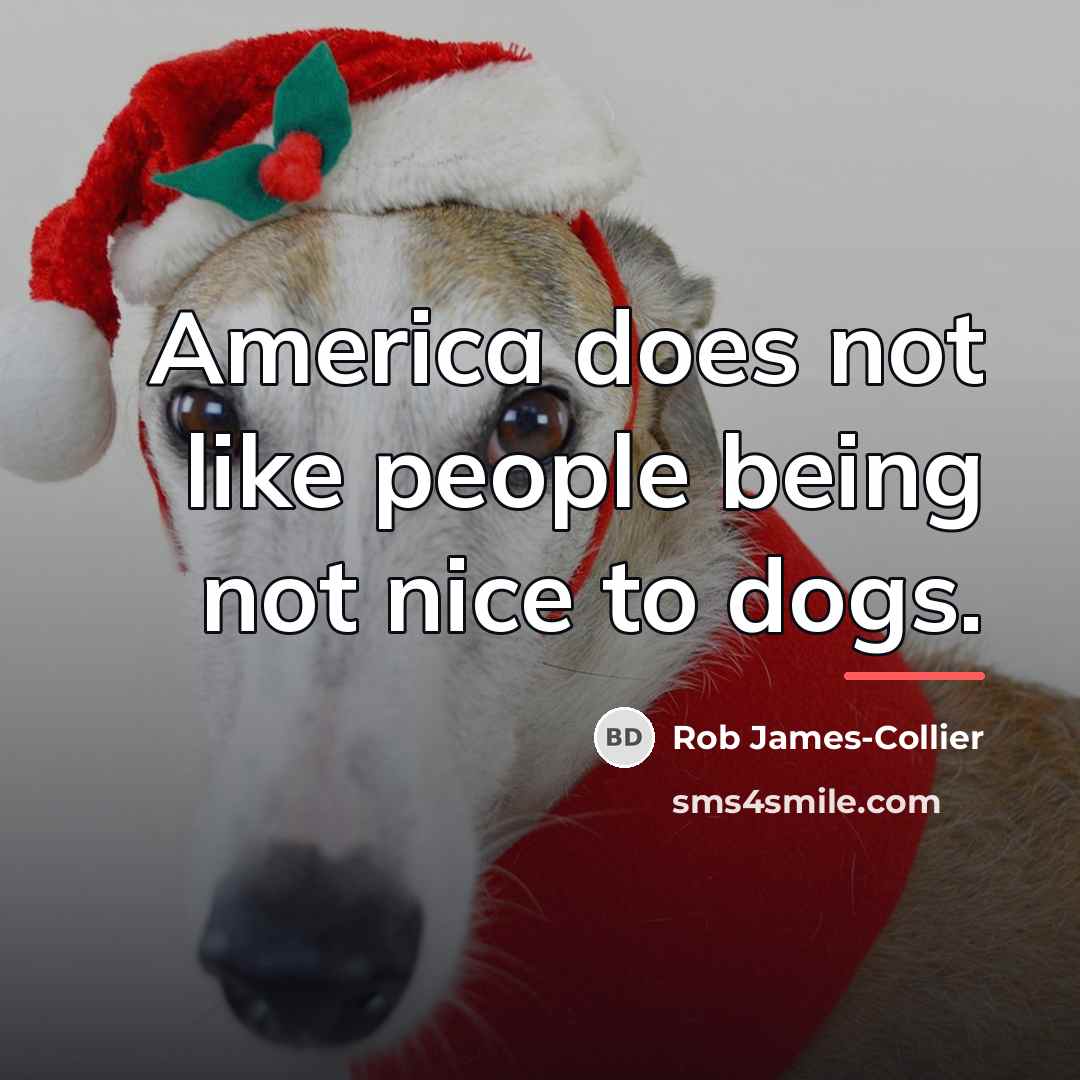“America does not like people being not nice to dogs.…” quote by Rob James-Collier