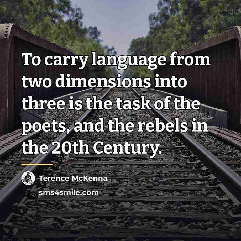 “To carry language from two dimensions into three is the…” quote by Terence McKenna