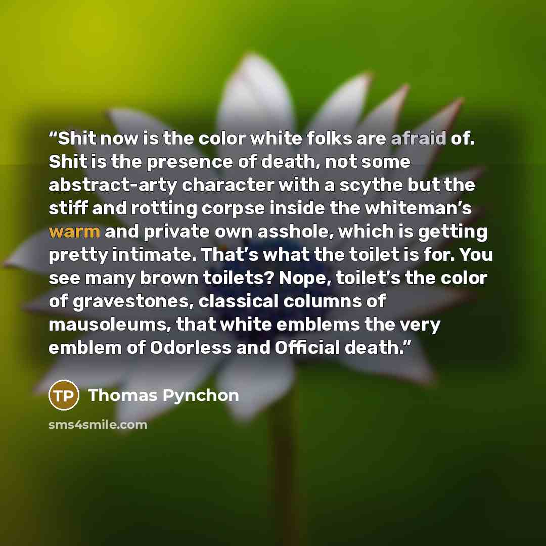 “Shit now is the color white folks are afraid of. Shit is the presence of death, not some abstract-arty character with a scythe but the stiff and rotting corpse inside the whiteman’s warm and private own asshole, which is getting pretty intimate. That’s what the toilet is for. You see many brown…” quote by Thomas Pynchon