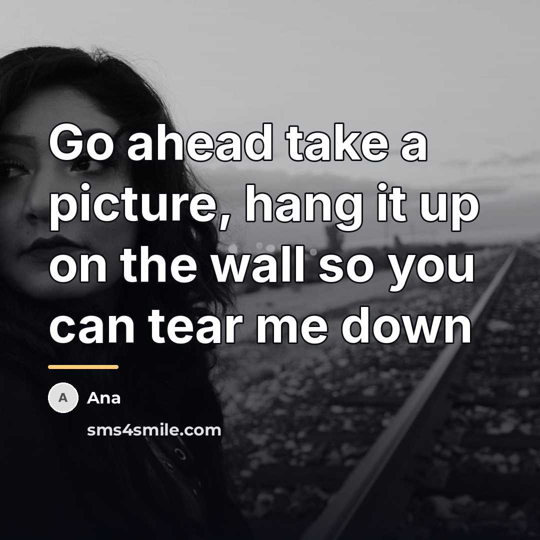“Go ahead take a picture, hang it up on the…” quote by Ana