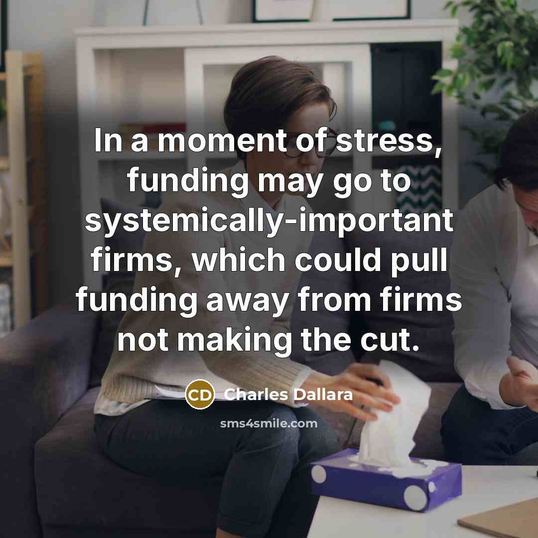 “In a moment of stress, funding may go to systemically-important…” quote by Charles Dallara