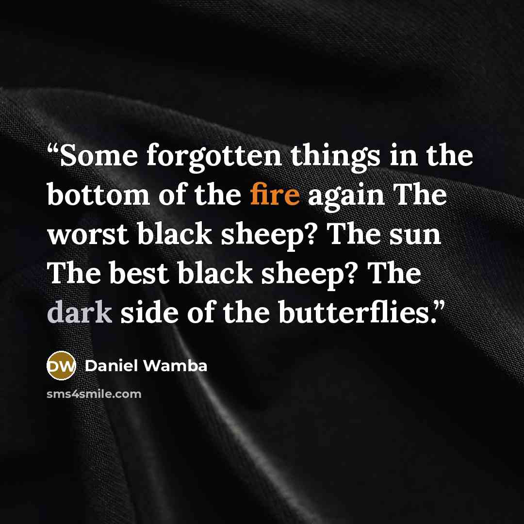 “Some forgotten things in the bottom of the fire again The worst black sheep? The sun The best black sheep? The dark side of the butterflies.” quote by Daniel Wamba