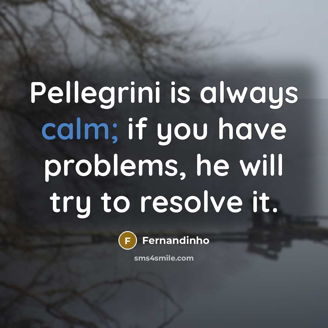 “Pellegrini is always calm; if you have problems, he will…” quote by Fernandinho