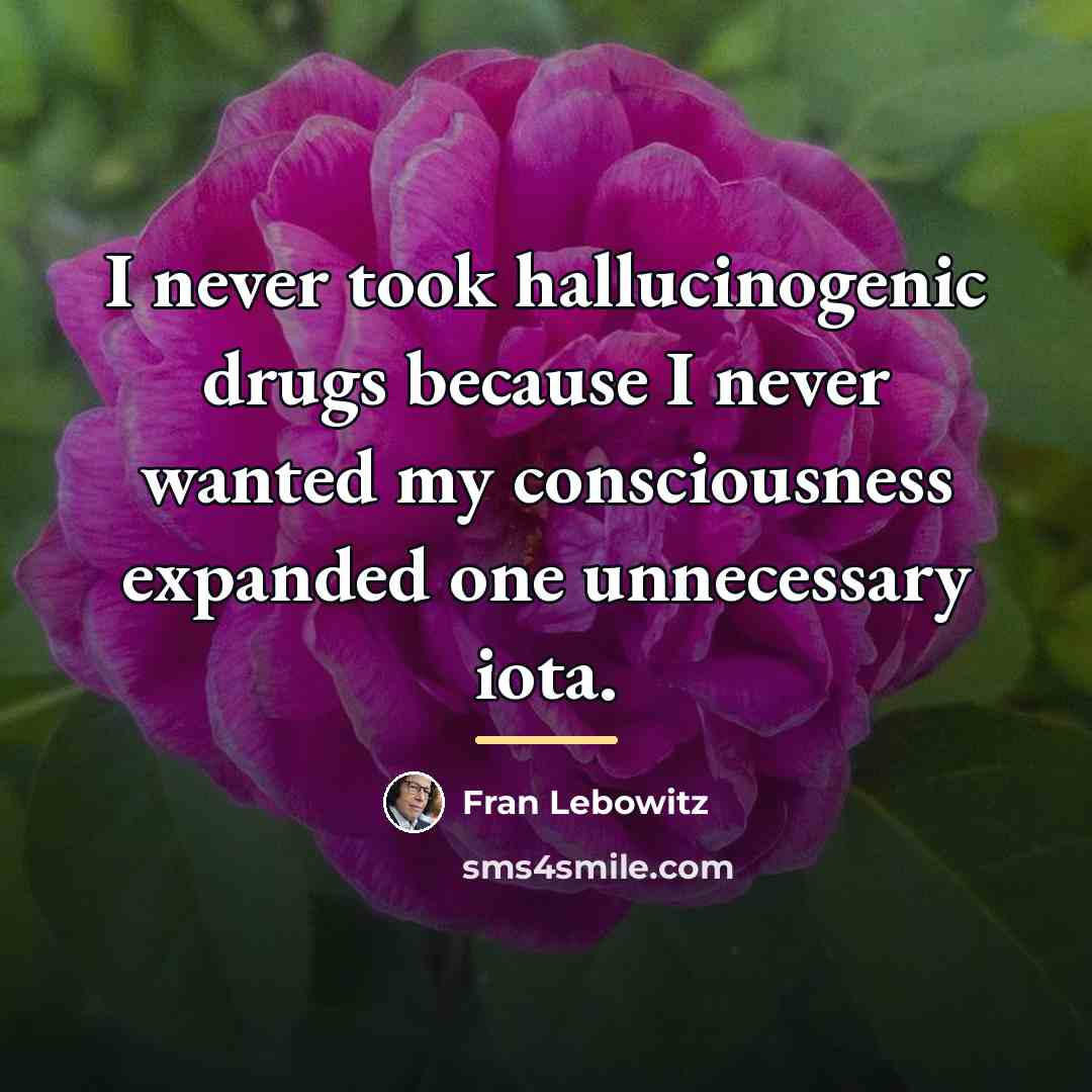 “I never took hallucinogenic drugs because I never wanted my…” quote by Fran Lebowitz