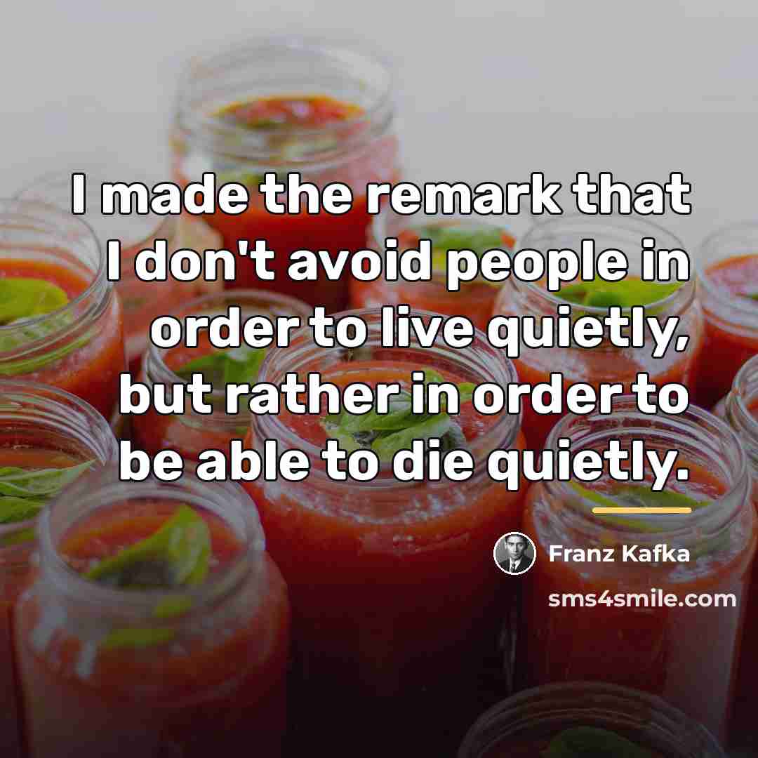 “I made the remark that I don't avoid people in…” quote by Franz Kafka