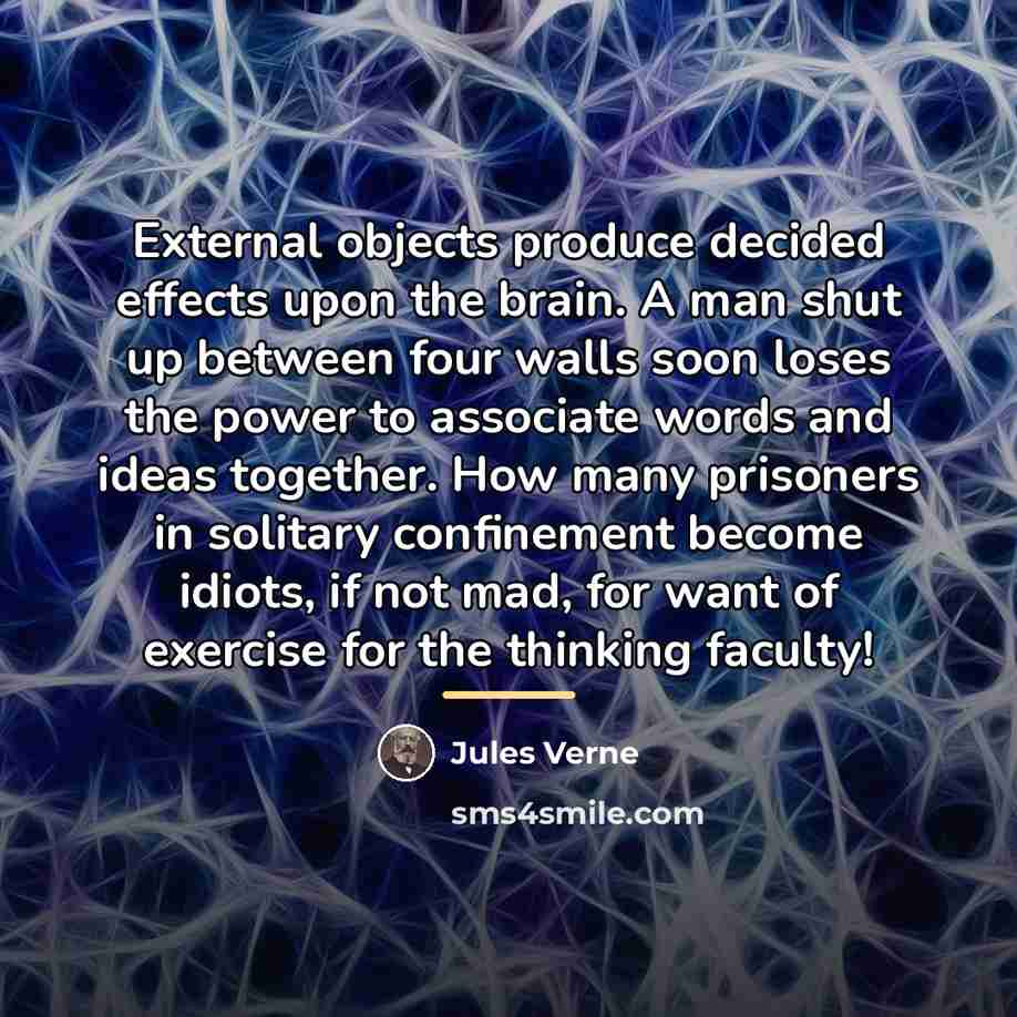 “External objects produce decided effects upon the brain. A man…” quote by Jules Verne