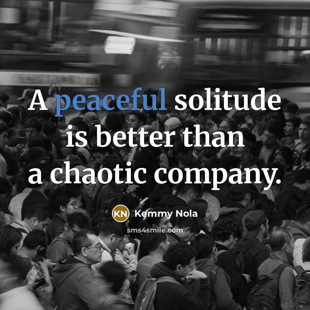 “A peaceful solitude is better than a chaotic company.…” quote by Kemmy Nola