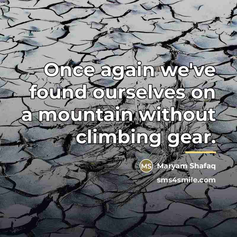 “Once again we've found ourselves on a mountain without climbing…” quote by Maryam Shafaq
