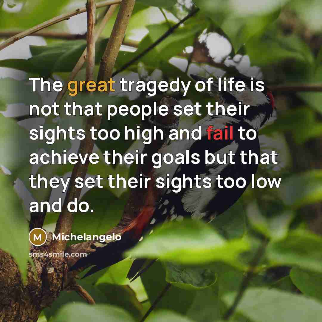 “The great tragedy of life is not that people set…” quote by Michelangelo