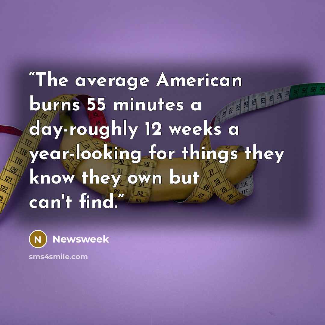 “The average American burns 55 minutes a day-roughly 12 weeks a year-looking for things they know they own but can't find.” quote by Newsweek