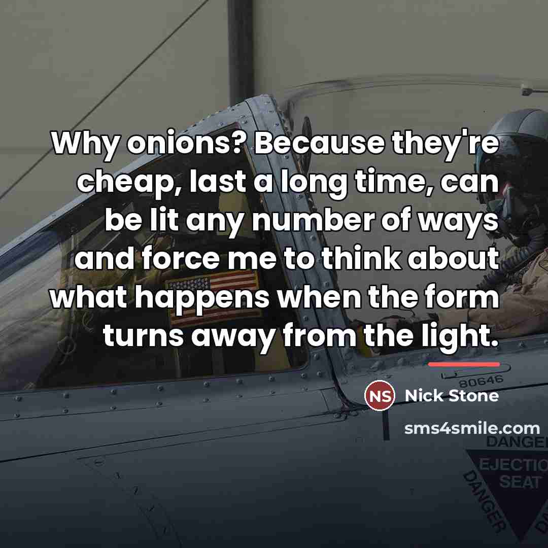 “Why onions? Because they're cheap, last a long time, can…” quote by Nick Stone