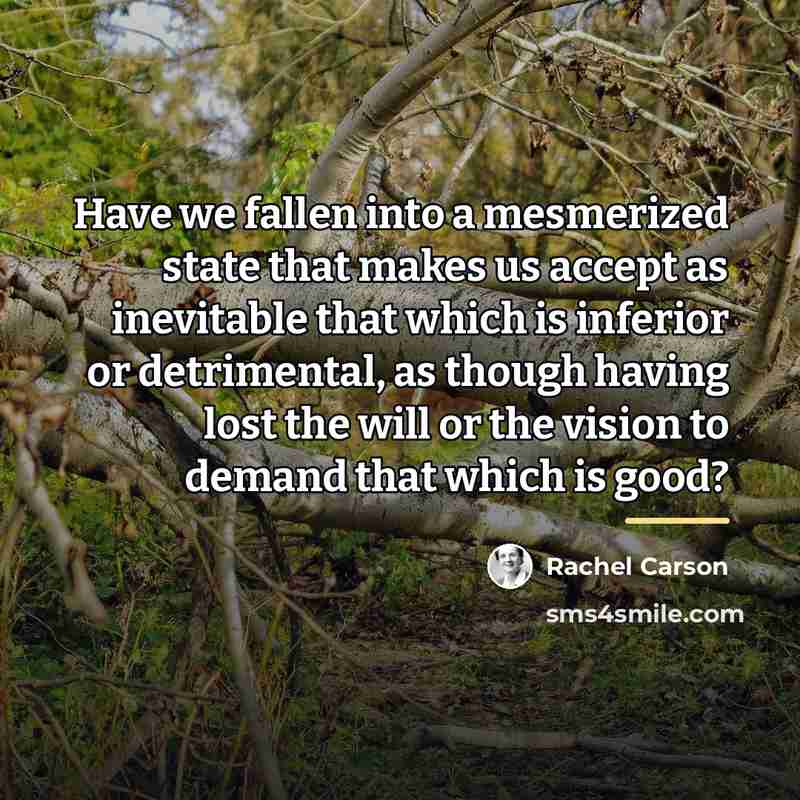 “Have we fallen into a mesmerized state that makes us…” quote by Rachel Carson