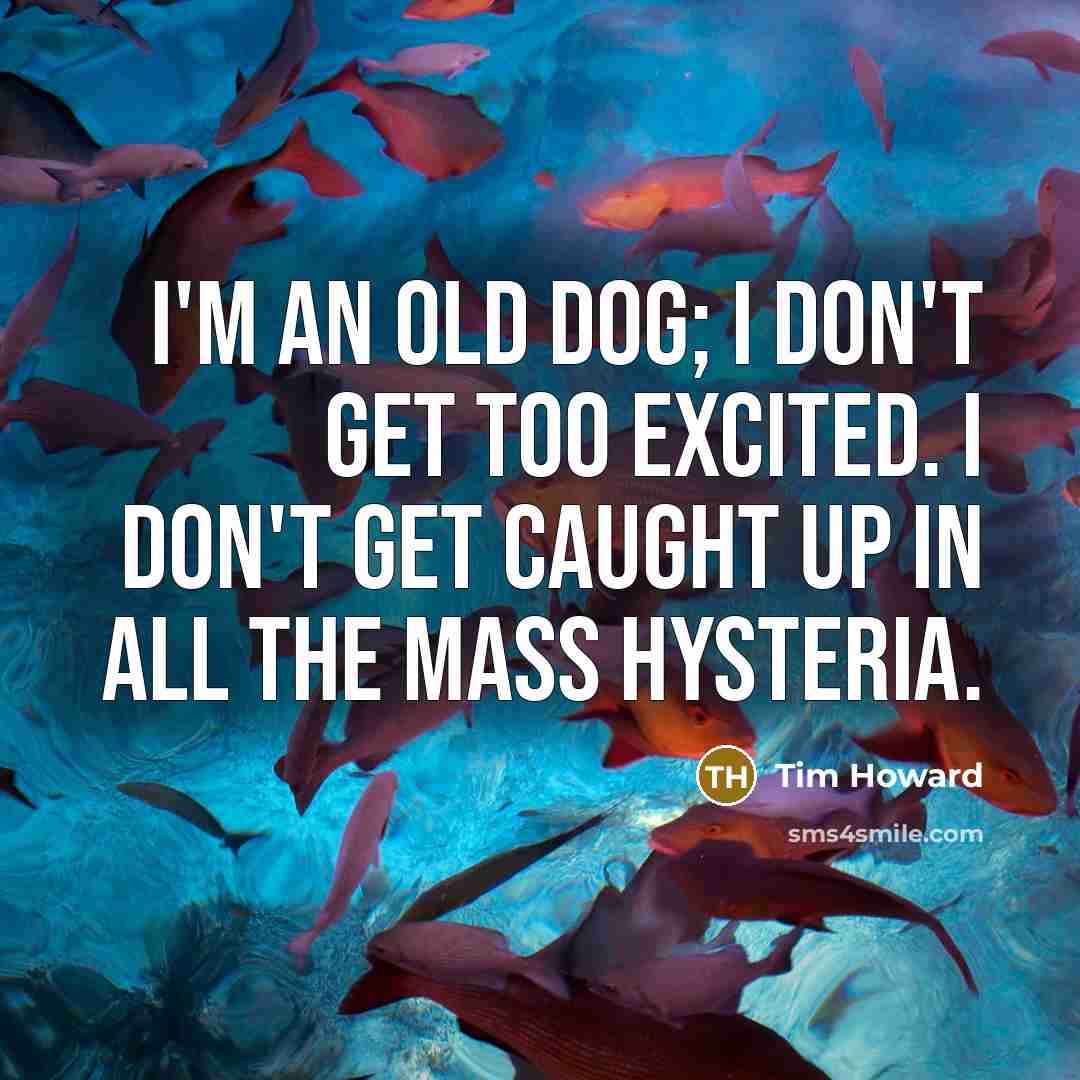 “I'm an old dog; I don't get too excited. I…” quote by Tim Howard