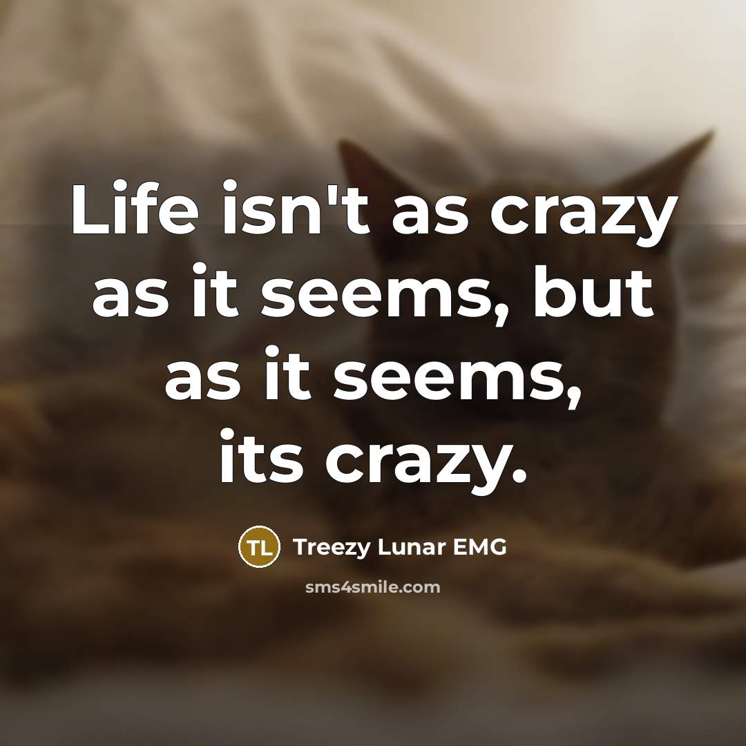 “Life isn't as crazy as it seems, but as it seems, its crazy.” quote by Treezy Lunar EMG