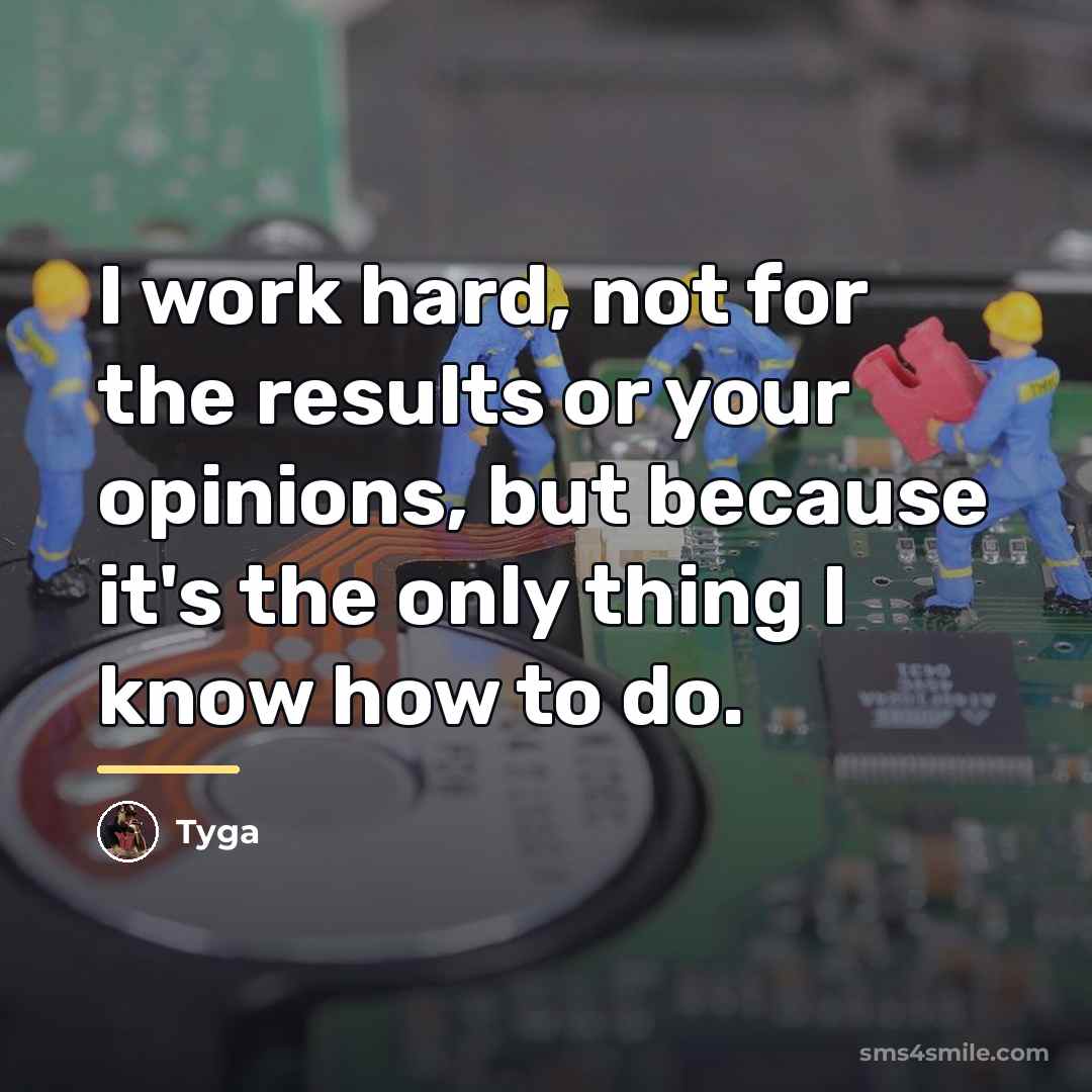 “I work hard, not for the results or your opinions,…” quote by Tyga