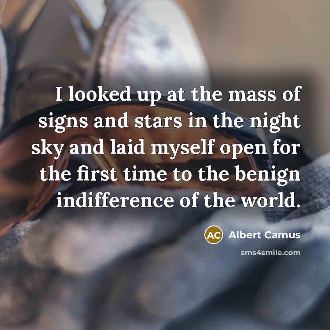 “I looked up at the mass of signs and stars…” quote by Albert Camus