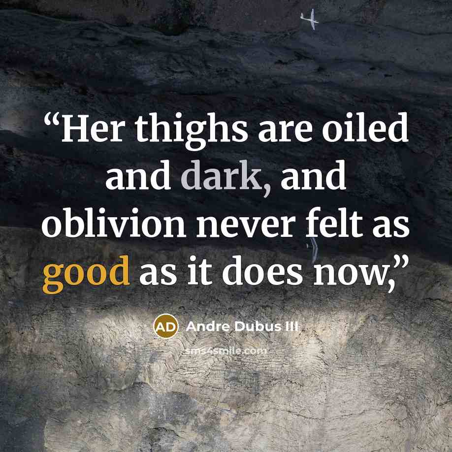 “Her thighs are oiled and dark, and oblivion never felt as good as it does now,” quote by Andre Dubus III