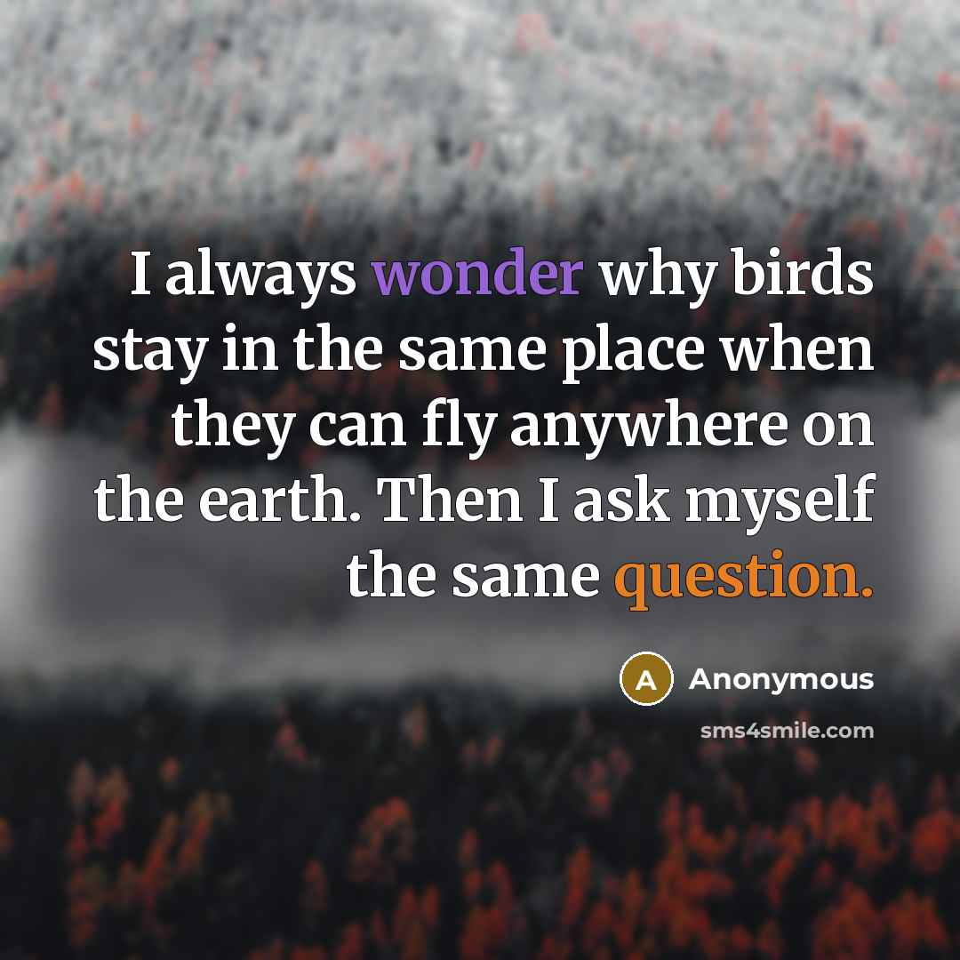 “I always wonder why birds stay in the same place when they can fly anywhere on the earth. Then I ask myself the same question.” quote by Anonymous