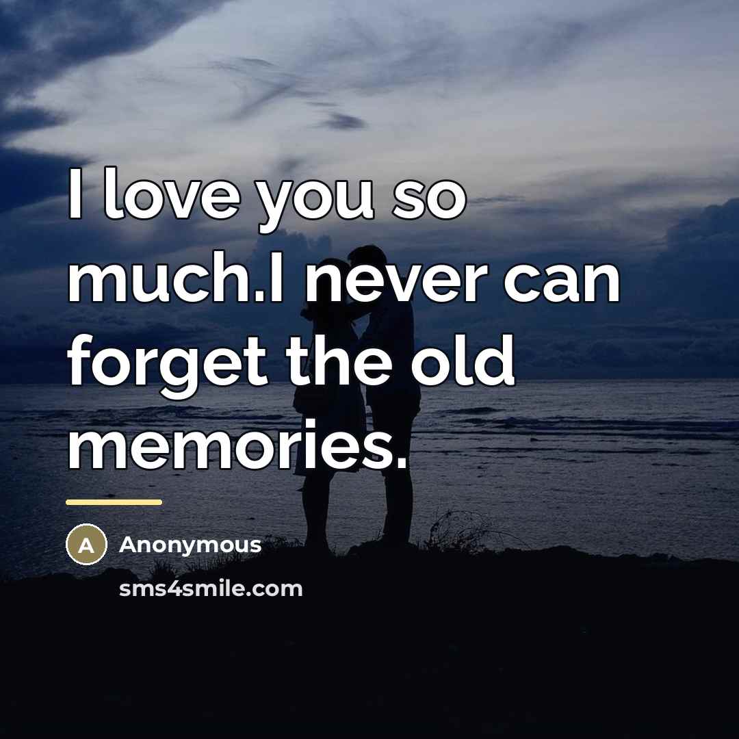 “I love you so much.I never can forget the old…” quote by Anonymous