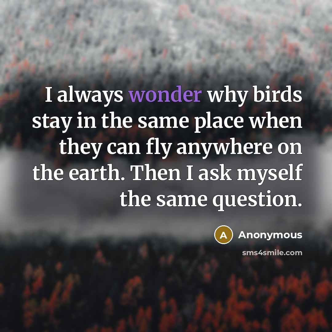 “I always wonder why birds stay in the same place…” quote by Anonymous