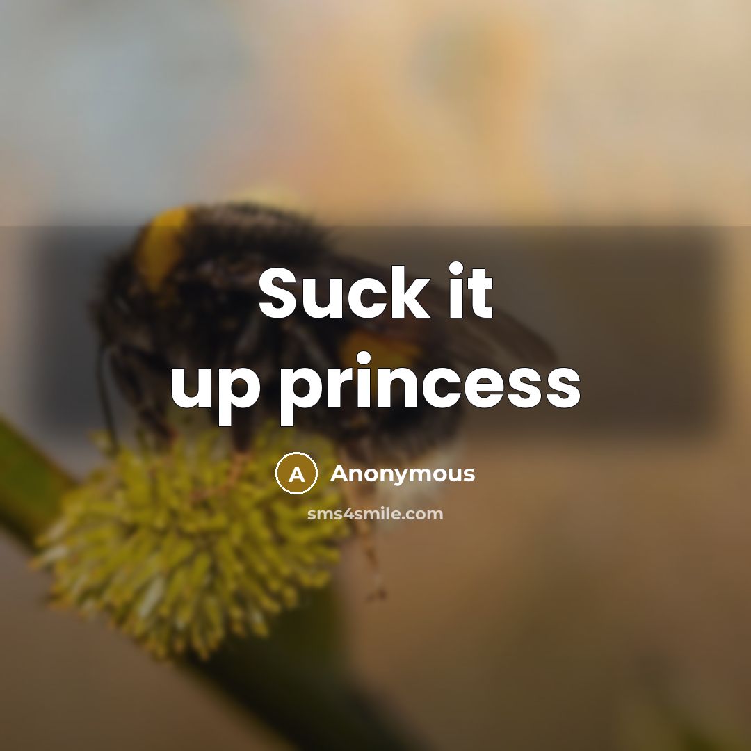 “Suck it up princess…” quote by Anonymous