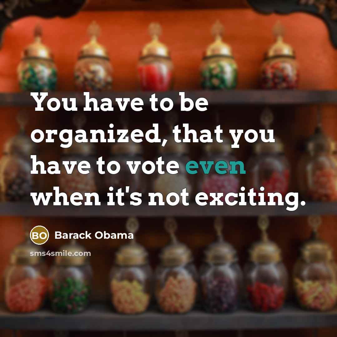 “You have to be organized, that you have to vote…” quote by Barack Obama