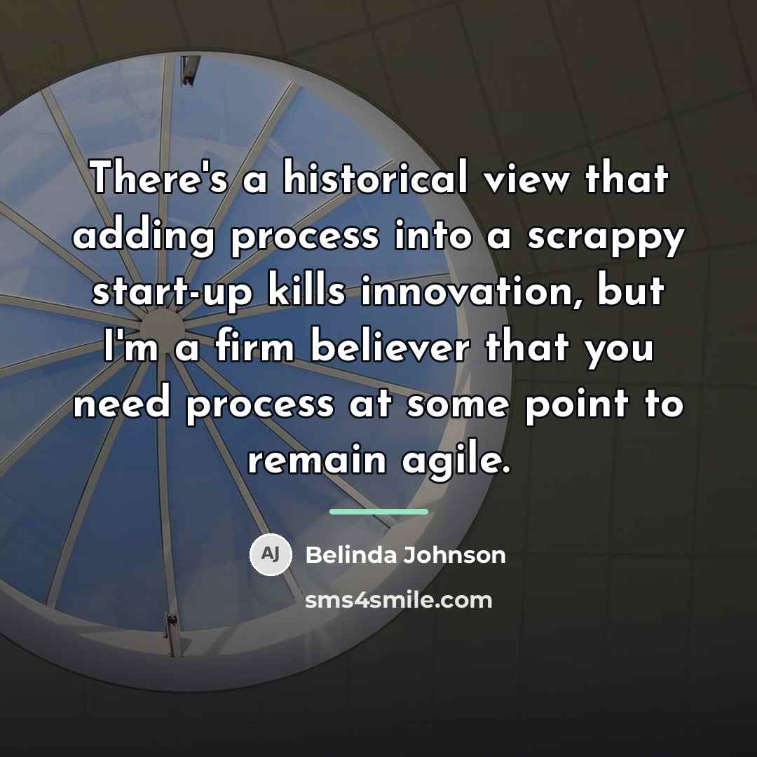 “There's a historical view that adding process into a scrappy…” quote by Belinda Johnson