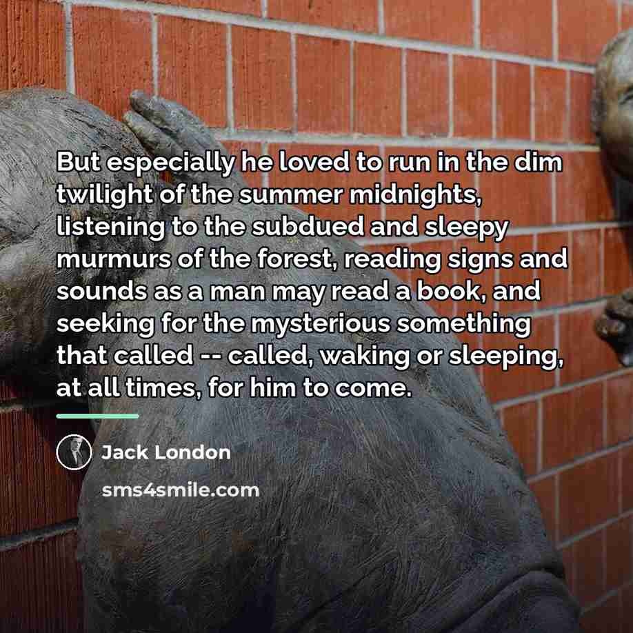 “But especially he loved to run in the dim twilight…” quote by Jack London