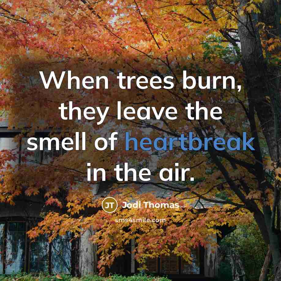 “When trees burn, they leave the smell of heartbreak in…” quote by Jodi Thomas