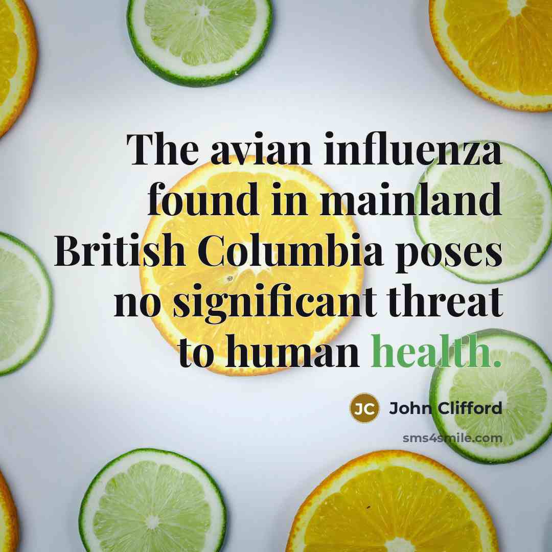 “The avian influenza found in mainland British Columbia poses no significant threat to human health.” quote by John Clifford