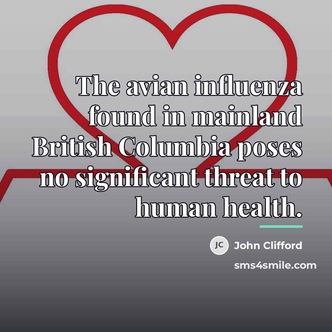 “The avian influenza found in mainland British Columbia poses no…” quote by John Clifford