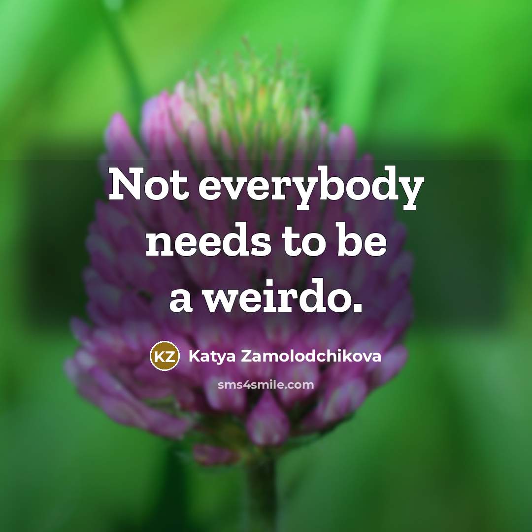 “Not everybody needs to be a weirdo.…” quote by Katya Zamolodchikova