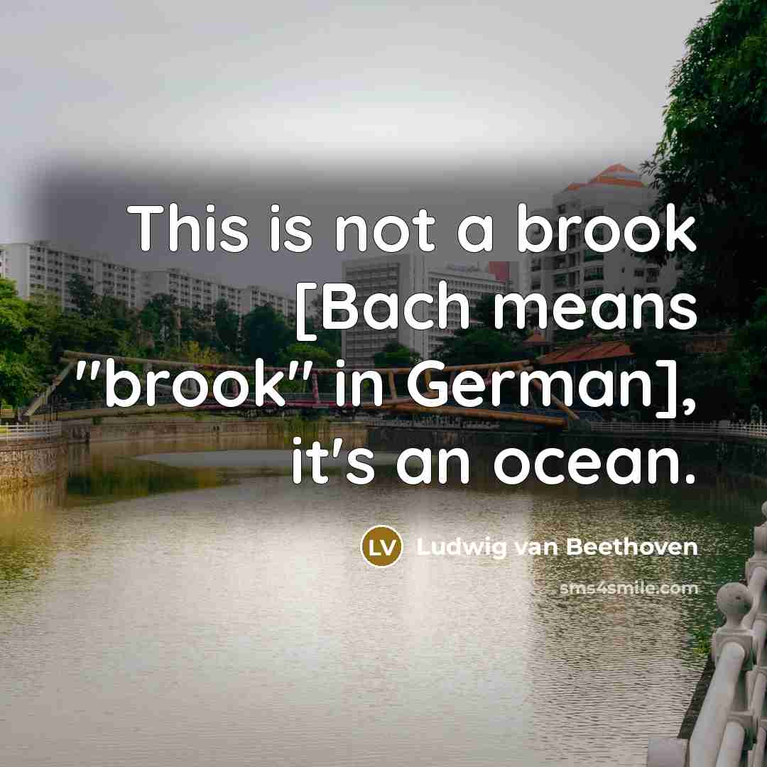 “This is not a brook [Bach means "brook" in German], it's an ocean.” quote by Ludwig van Beethoven