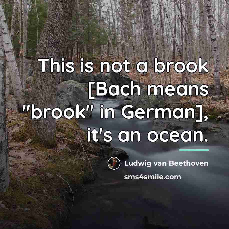 “This is not a brook [Bach means "brook" in German],…” quote by Ludwig van Beethoven