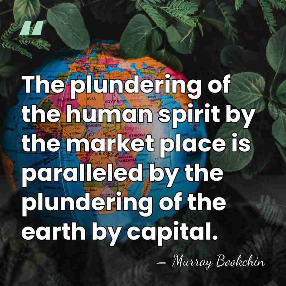 The plundering of the human spirit by the market place is paralleled&hellip; - Murray Bookchin