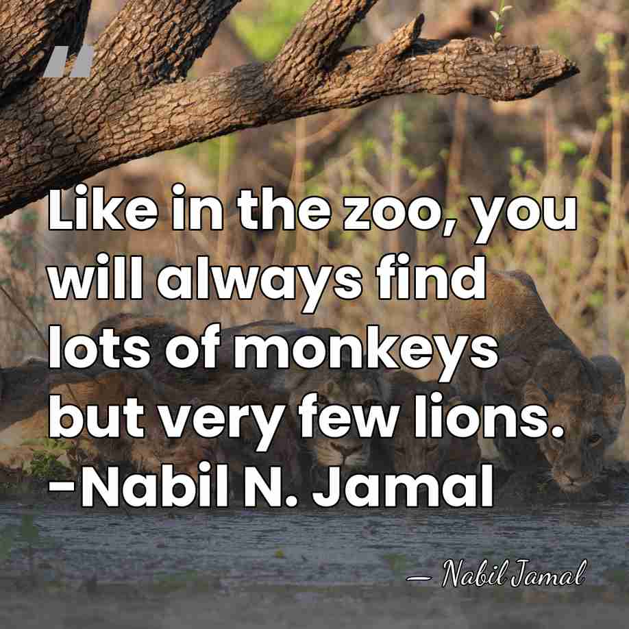 Like in the zoo, you will always find lots of monkeys but&hellip; - Nabil Jamal