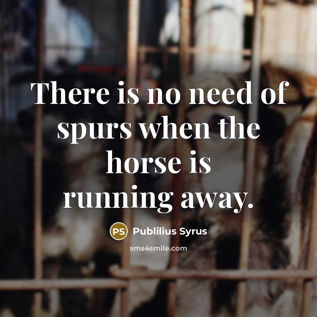 “There is no need of spurs when the horse is…” quote by Publilius Syrus