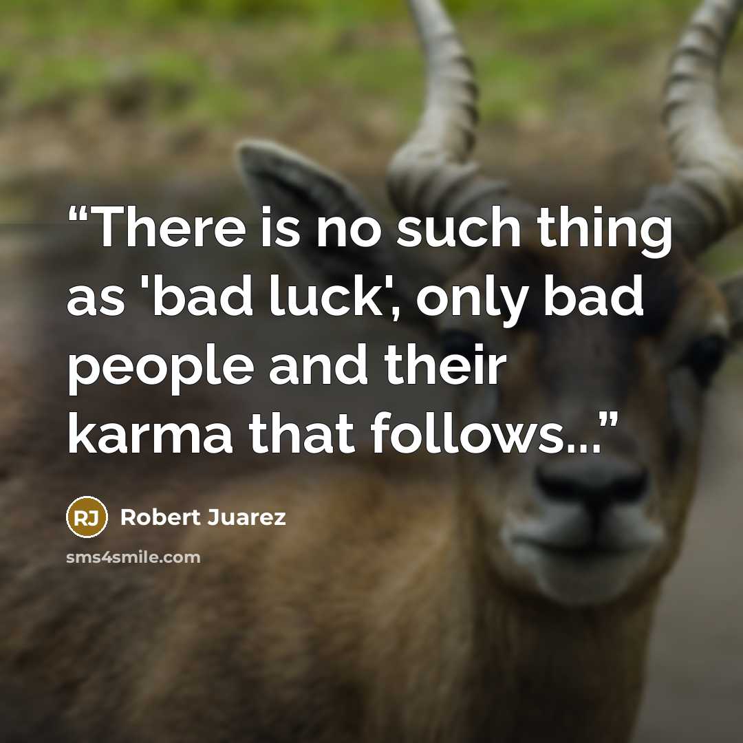 “There is no such thing as 'bad luck', only bad people and their karma that follows...” quote by Robert Juarez