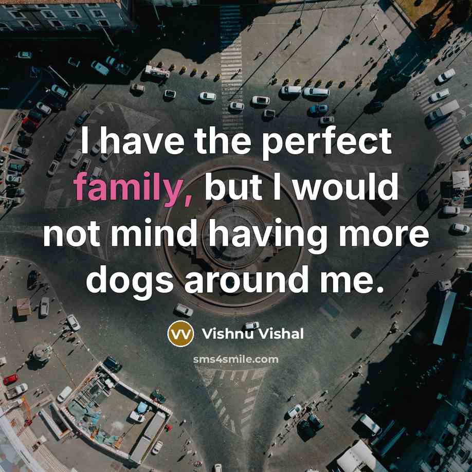“I have the perfect family, but I would not mind…” quote by Vishnu Vishal